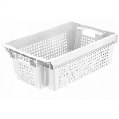 Морозостойкий